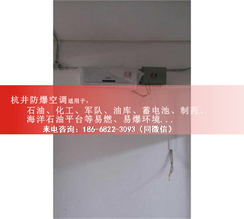 機房帶遠程控制防爆空調(diào)機案例圖